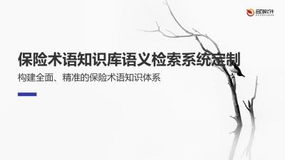 保险术语知识库语义检索系统定制