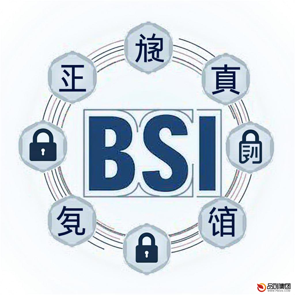 德国联邦信息安全办公室：守护数字世界的坚...