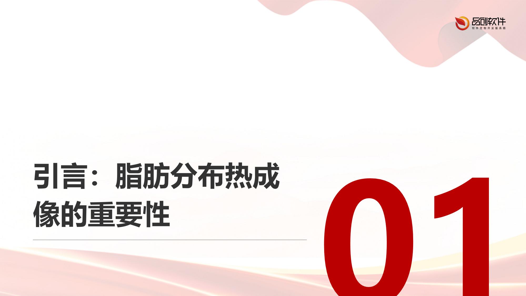 脂肪分布热成像分析系统定制开发
