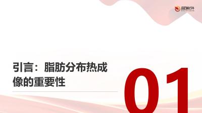 脂肪分布热成像分析系统定制开发