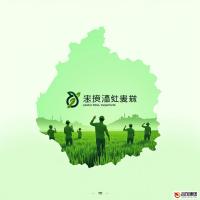 江苏农业保险网：全面解析与未来展望
