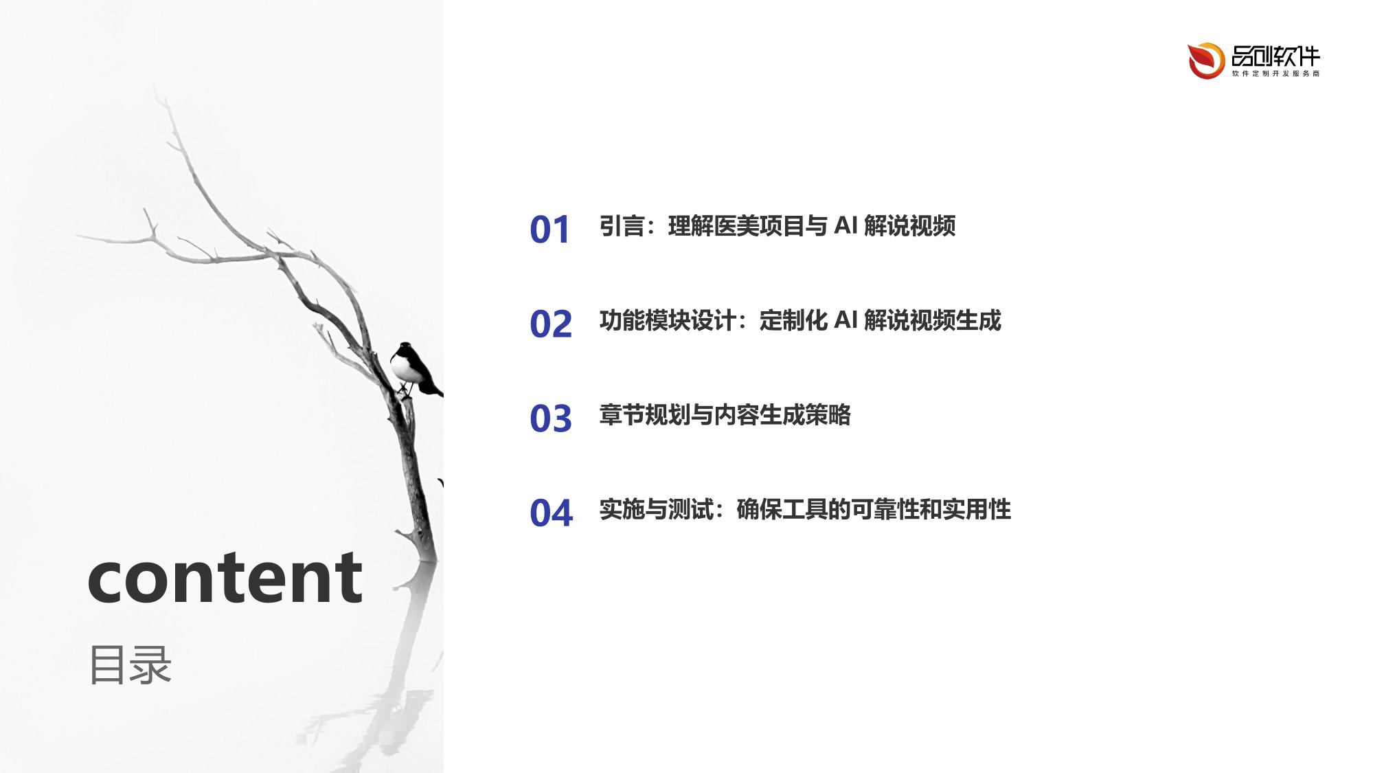 医美项目AI解说视频生成工具定制