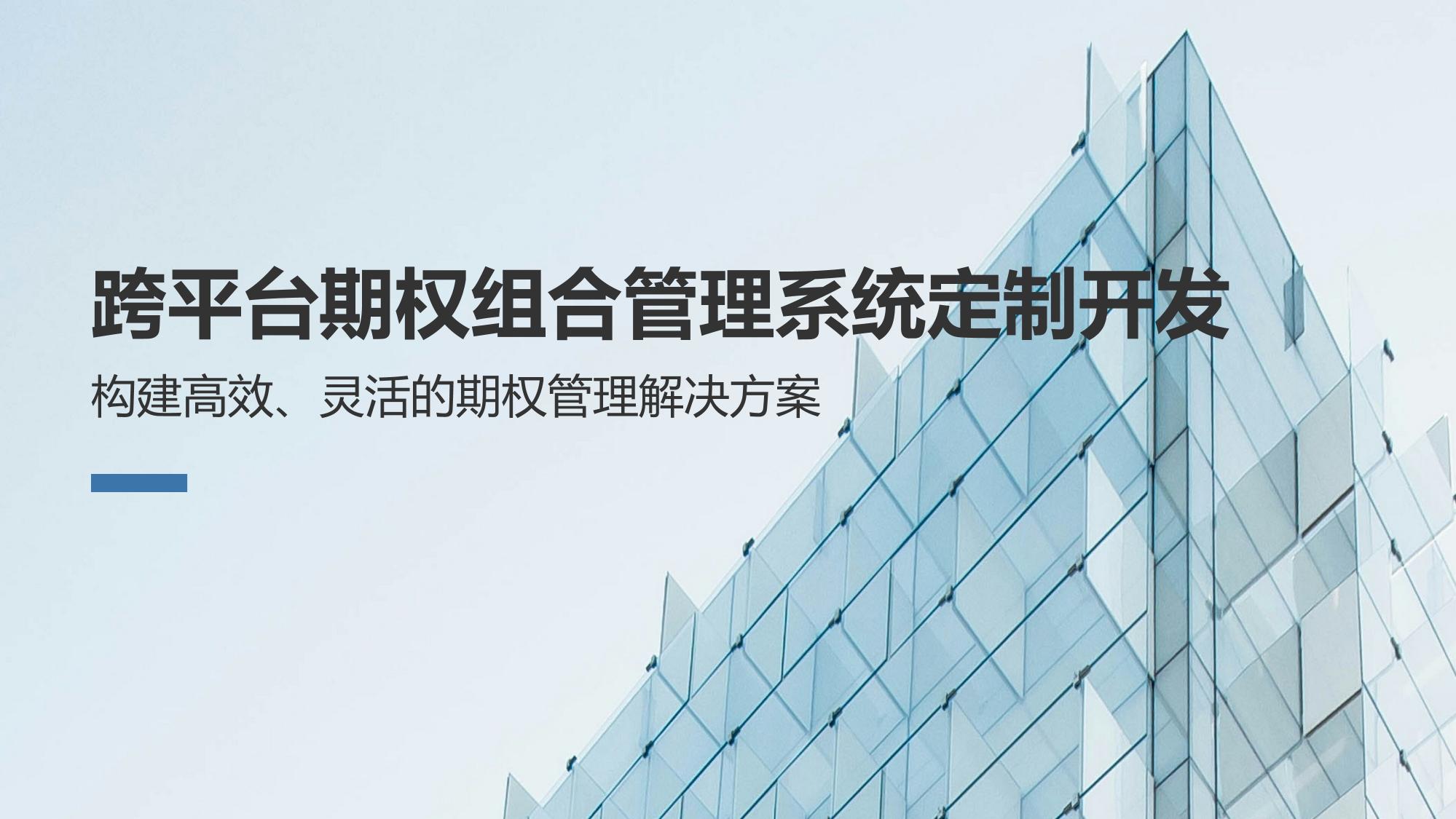 跨平台期权组合管理系统定制开发