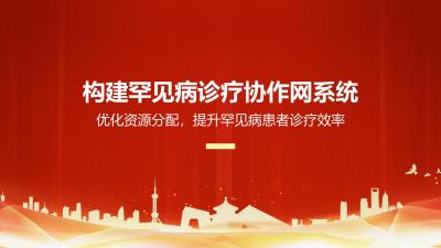 构建罕见病诊疗协作网系统