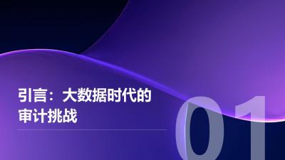 审计大数据平台：异常交易识别准确率突破99.2%