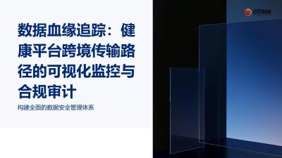 数据血缘追踪：健康平台跨境传输路径的可视化监控与合规审计