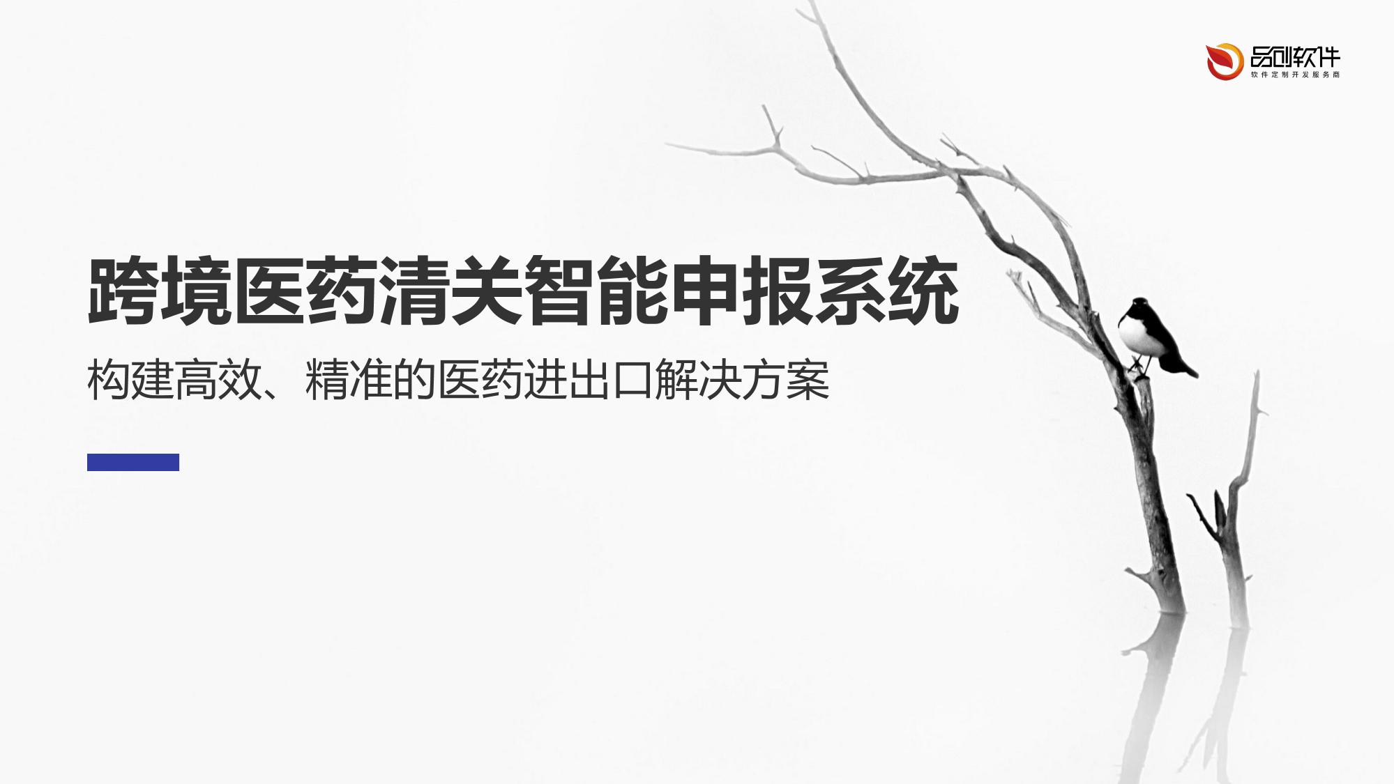 跨境医药清关智能申报系统