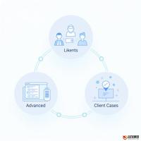 引领未来：揭秘APP定制开发企业的核心竞争力

