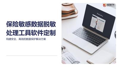 保险敏感数据脱敏处理工具软件定制