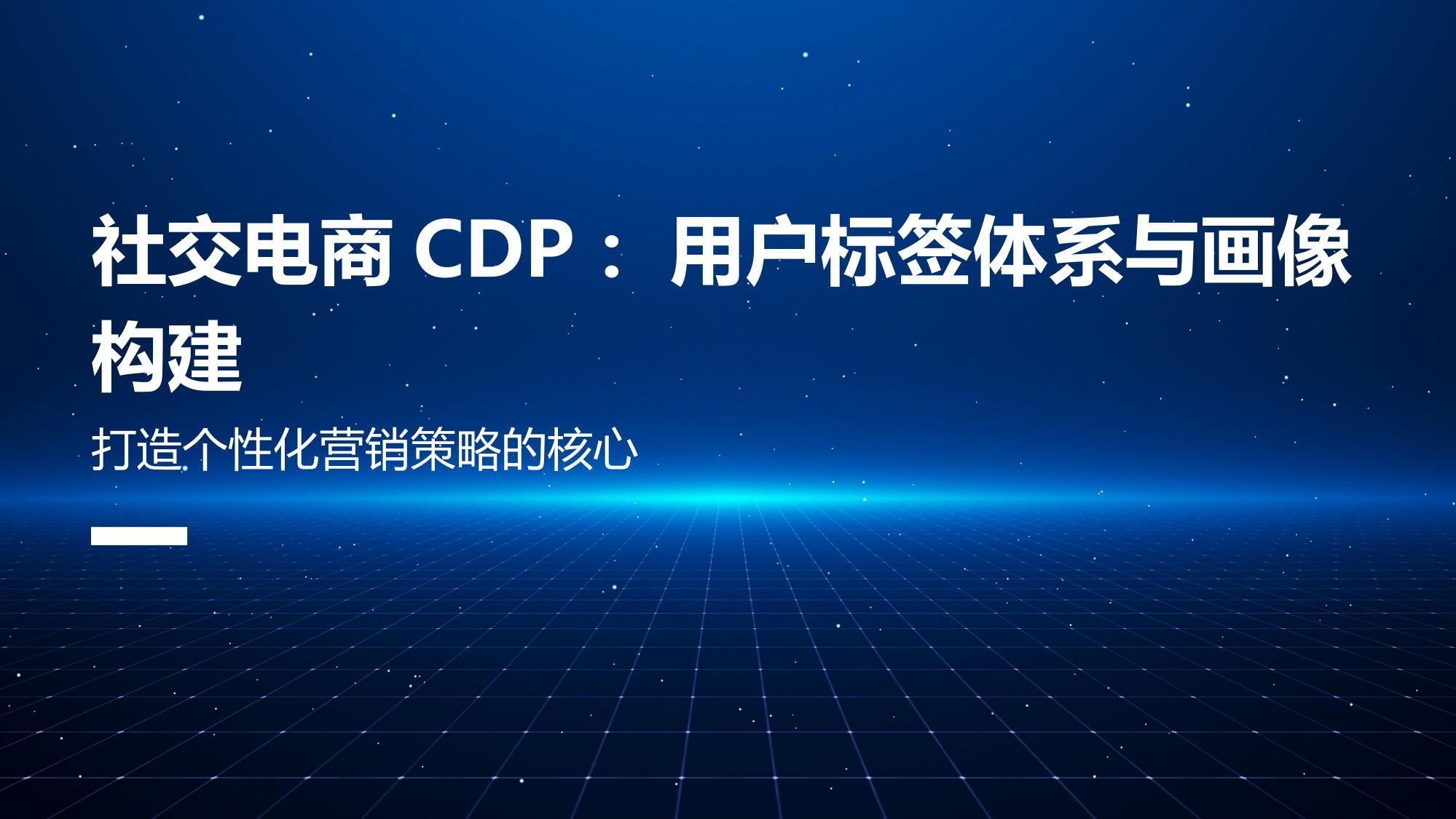 社交电商CDP：用户标签体系与画像构建