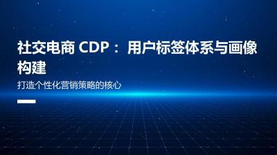 社交电商CDP：用户标签体系与画像构建