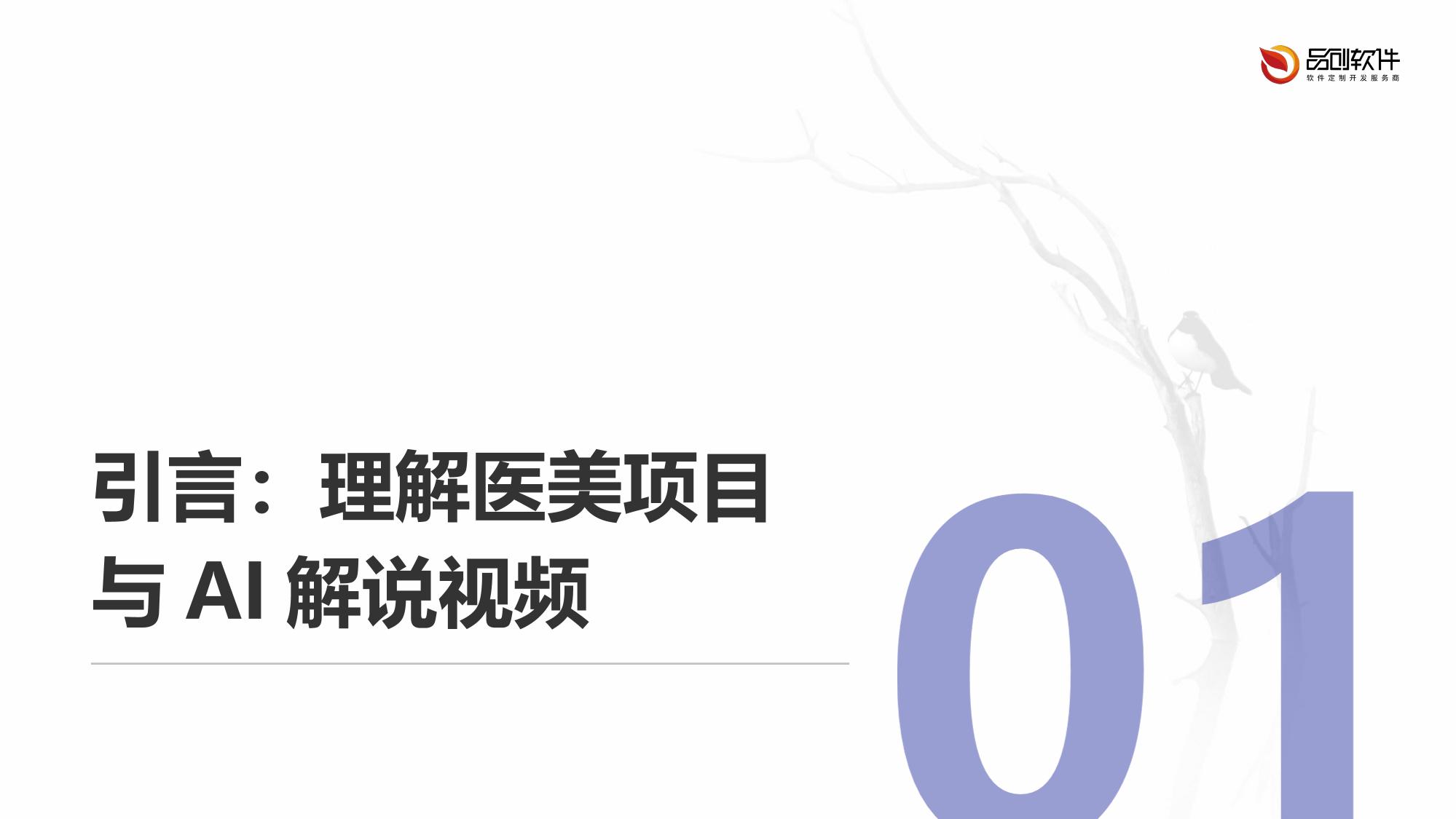 医美项目AI解说视频生成工具定制