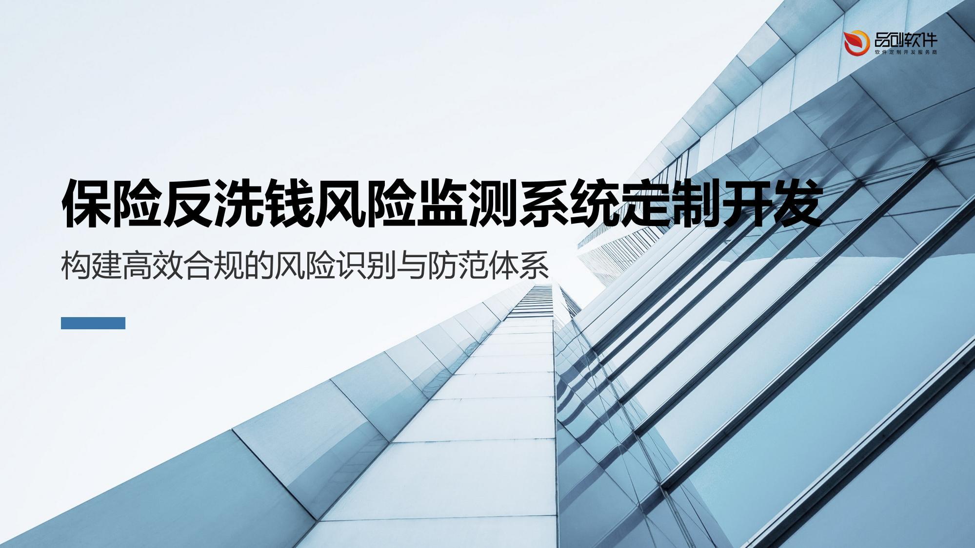 保险反洗钱风险监测系统定制开发