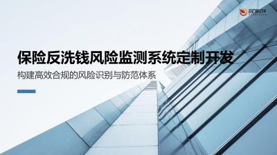 保险反洗钱风险监测系统定制开发