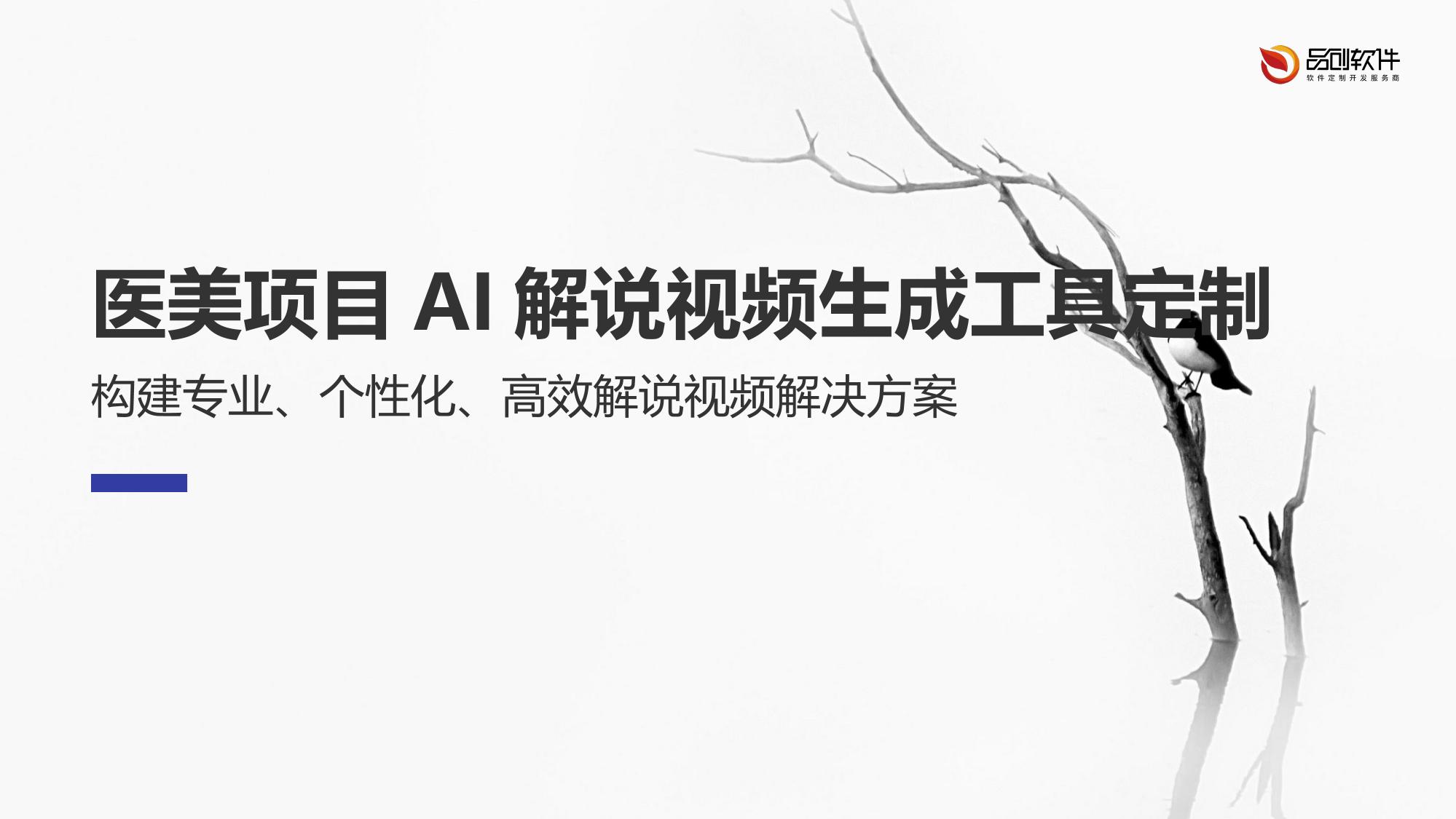 医美项目AI解说视频生成工具定制