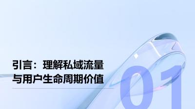 私域流量运营系统：母婴社群用户LTV提升2.3倍方法论