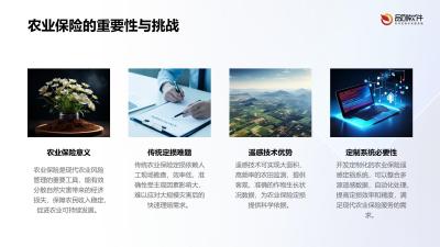 农业保险遥感定损系统定制开发方案