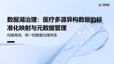 数据湖治理：医疗多源异构数据的标准化映射与元数据管理