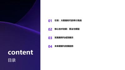 审计大数据平台：异常交易识别准确率突破99.2%