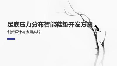 足底压力分布智能鞋垫开发方案