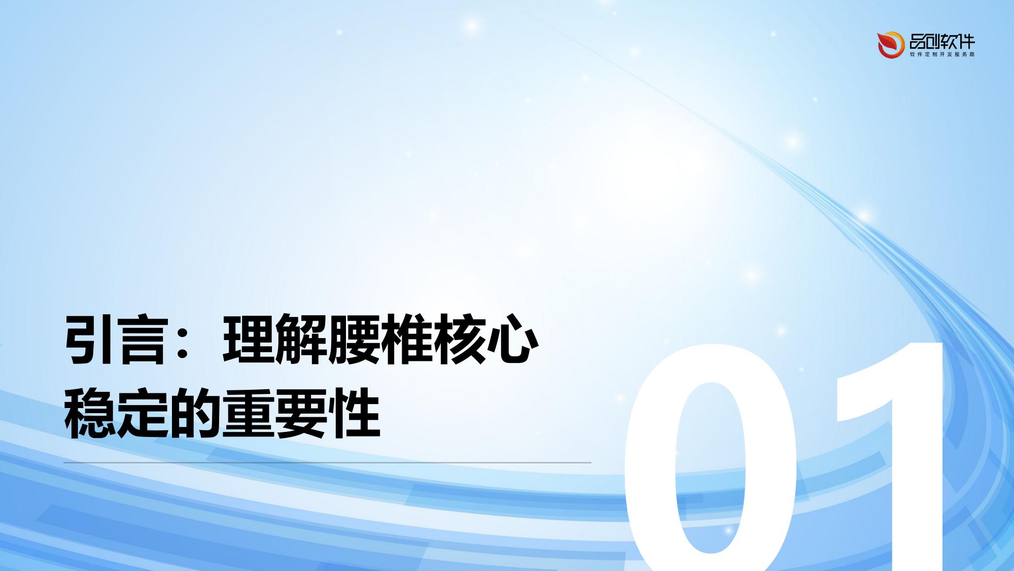 柔性腰椎核心稳定训练带方案