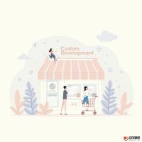 小程序商城定制开发费用全解析：如何精准预算与有效控制成本
