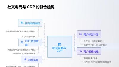 社交电商CDP：用户标签体系与画像构建