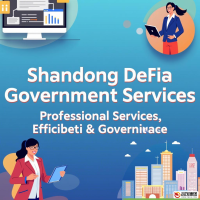 山东德发政务服务外包有限公司：专业服务，高效政务的新典范
