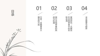金融垂类大模型在银行合规审查中的应用