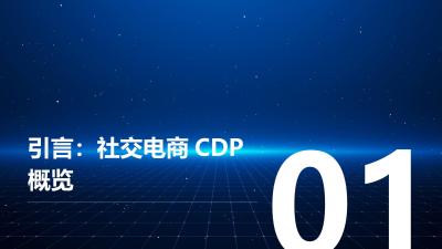 社交电商CDP：用户标签体系与画像构建