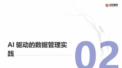 AI驱动的医疗健康数据管理与分析