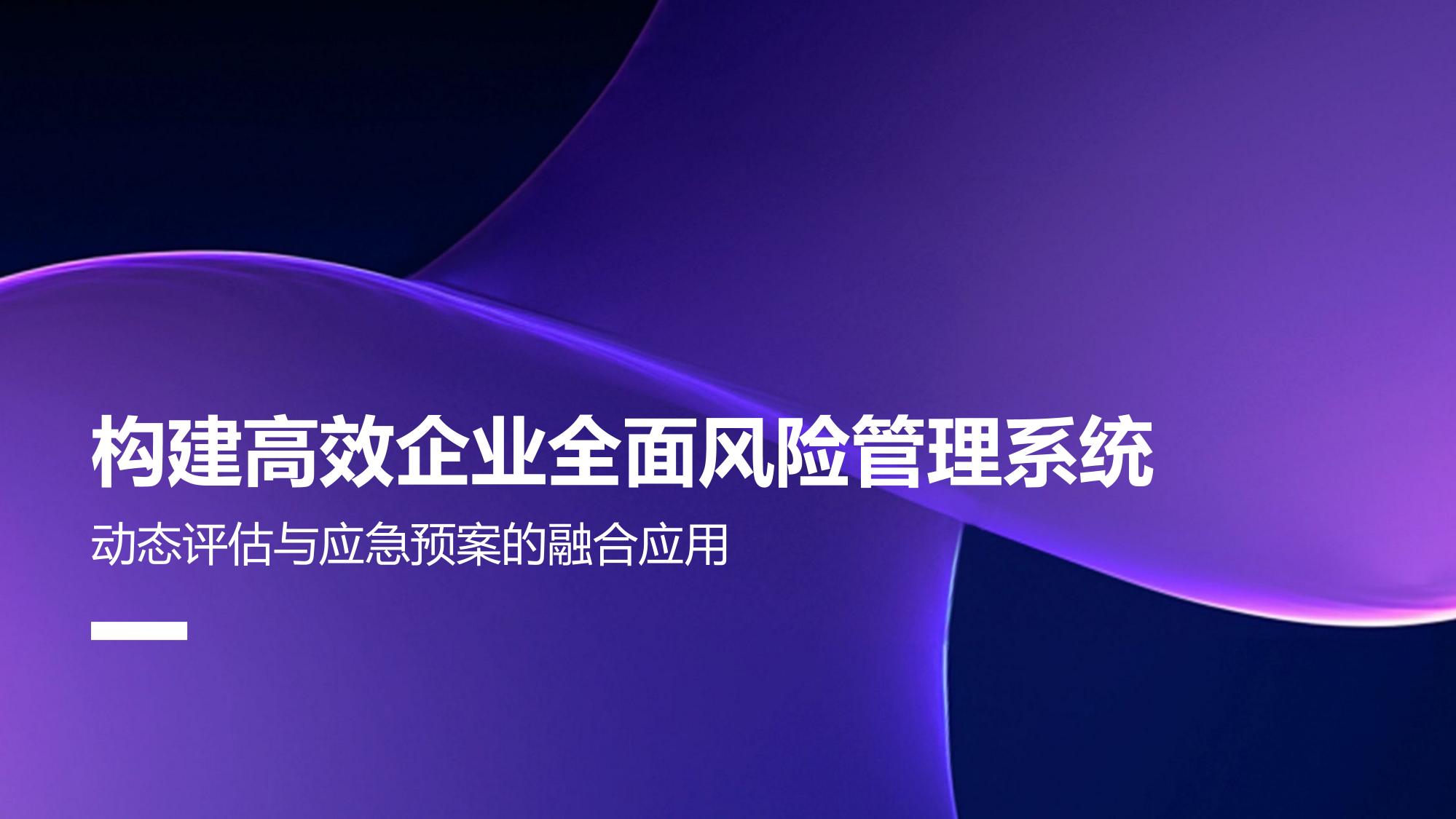构建高效企业全面风险管理系统