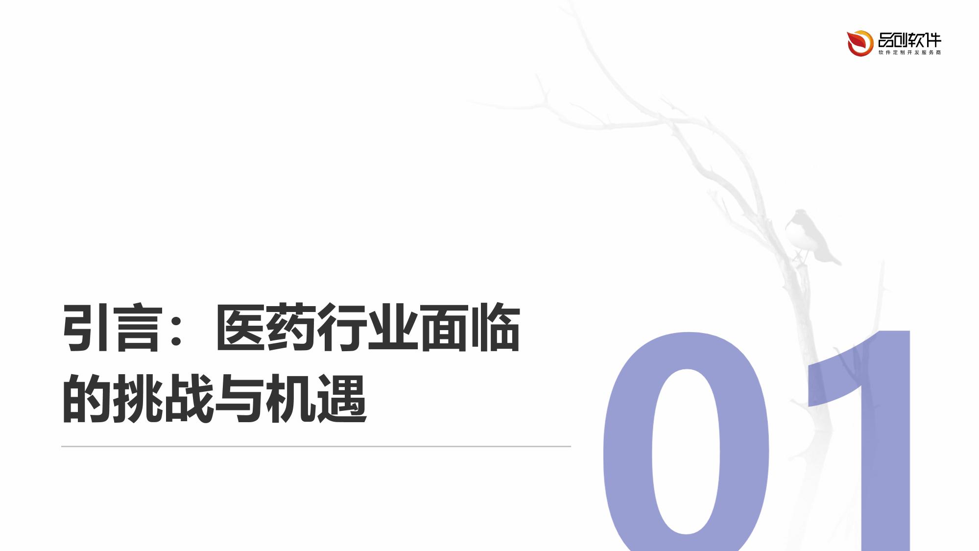 跨境医药清关智能申报系统