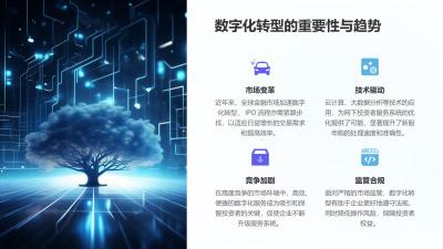 IPO网下投资者服务系统：提升新股申购效率的数字化解决方案