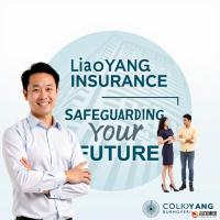 辽阳保险公司的全面解析：服务、产品与市场影响力
