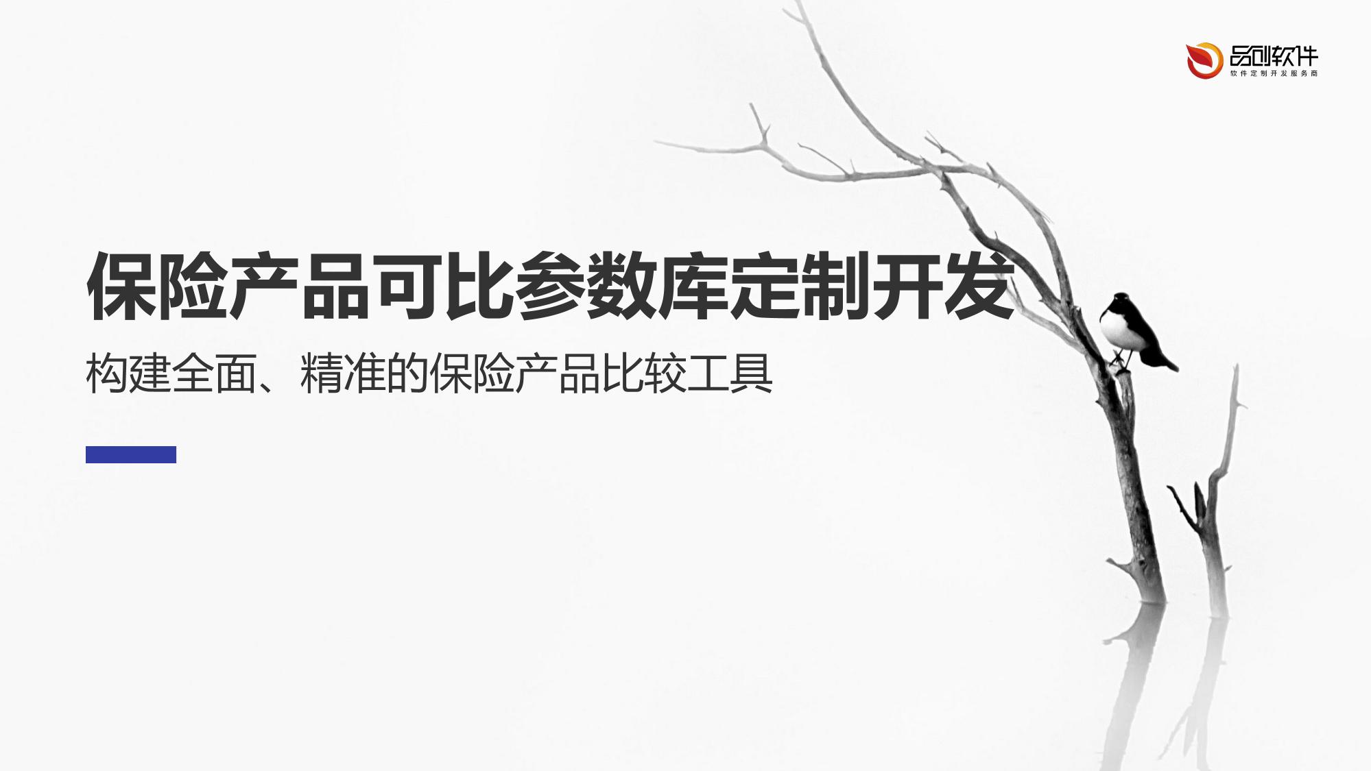 保险产品可比参数库定制开发
